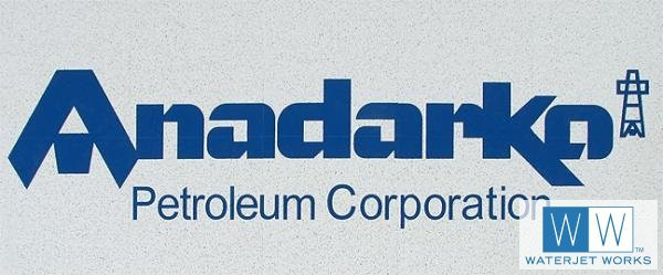 2008 Anadarko Petroleum Corporation