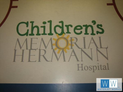 2006 Hermann Memorial Hospital