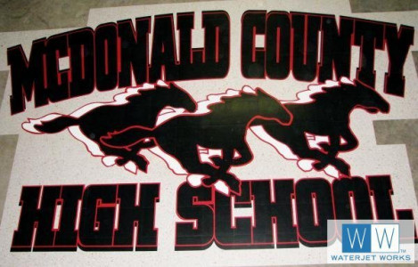 2010 McDonald County High School Logo
