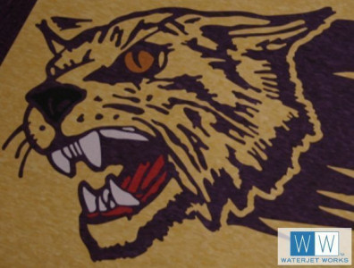 2010 Godley High School Logo
