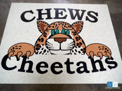 2016 Chews Elementary School Logo
