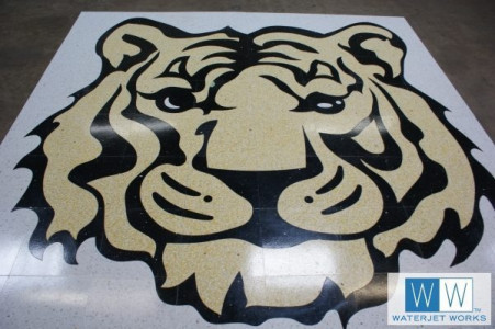 2015 Central Middle School  Tiger Logo