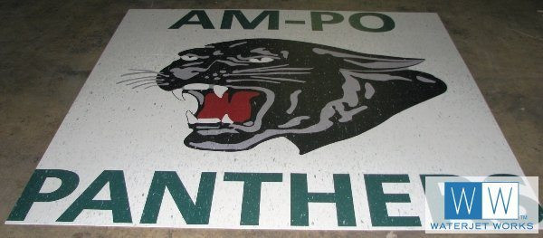 2010 Am Pro Panthers School Logo