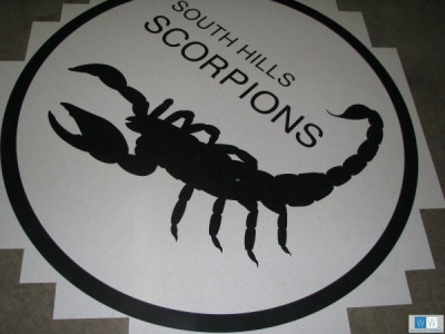2010 South Hills Scorpion Logo